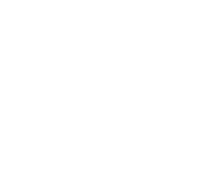 DUPLEXES duplex icon